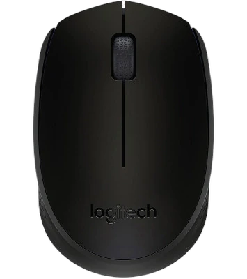 Logitech M171 Wireless Mouse (Noir)